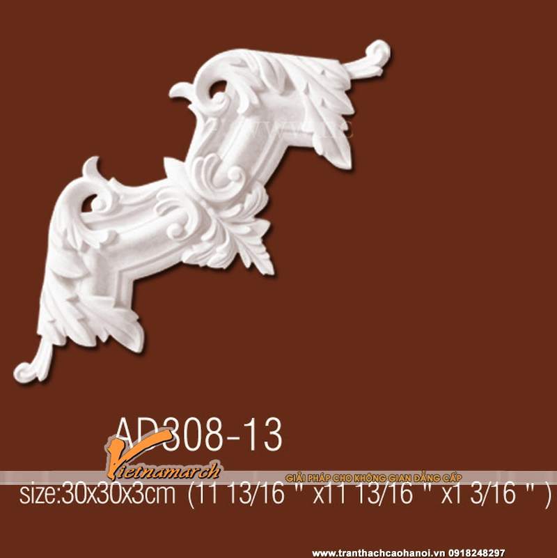 Góc trang trí trần tường tròn 17