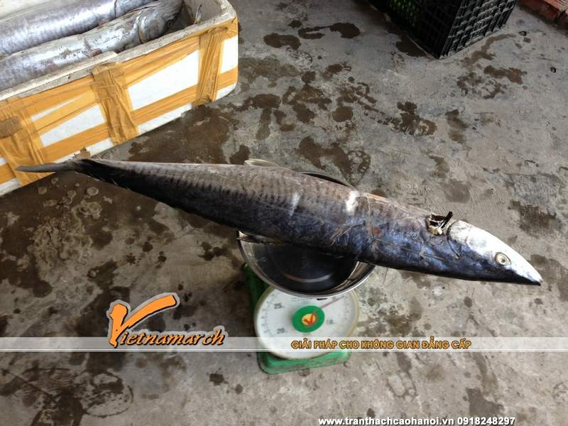 tran-thach-cao-nha-chu-phong-khu-biet-thu-lam-vien-dang-xa-gia-lam-24