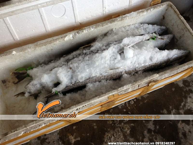 tran-thach-cao-nha-chu-phong-khu-biet-thu-lam-vien-dang-xa-gia-lam-25