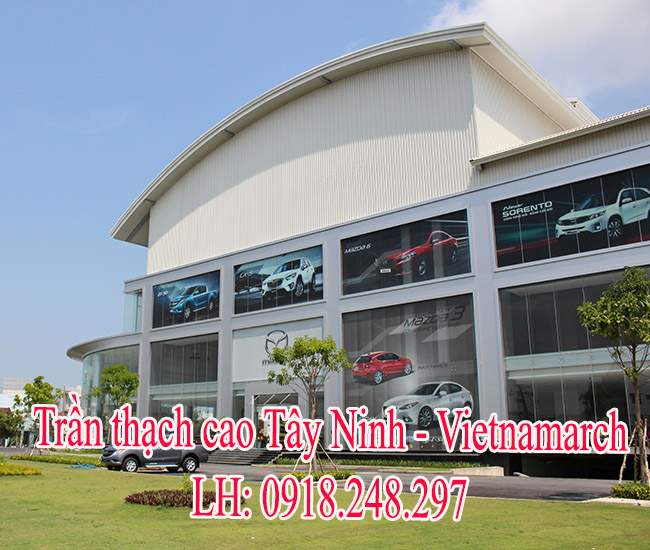 tran-thach-cao-showroom-tay-ninh