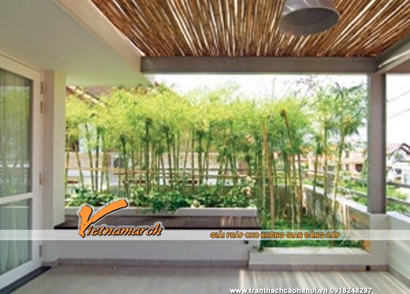 17.11.26-tam-op-thach-cao