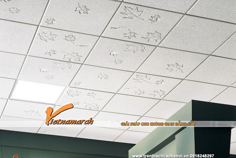 lam-tran-thach-cao-5--25-11