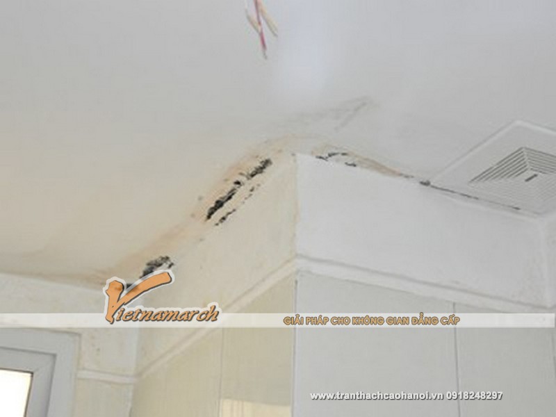 Trần và tường bị bong tróc