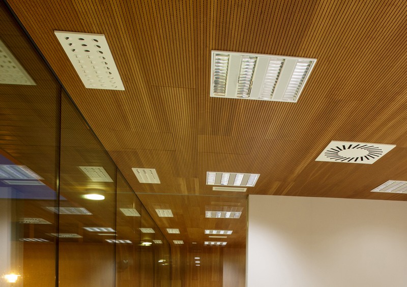 Trần giả bao gồm những loại nào?