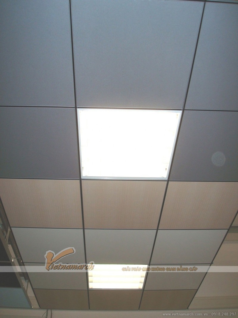 tam soi khoang alpha