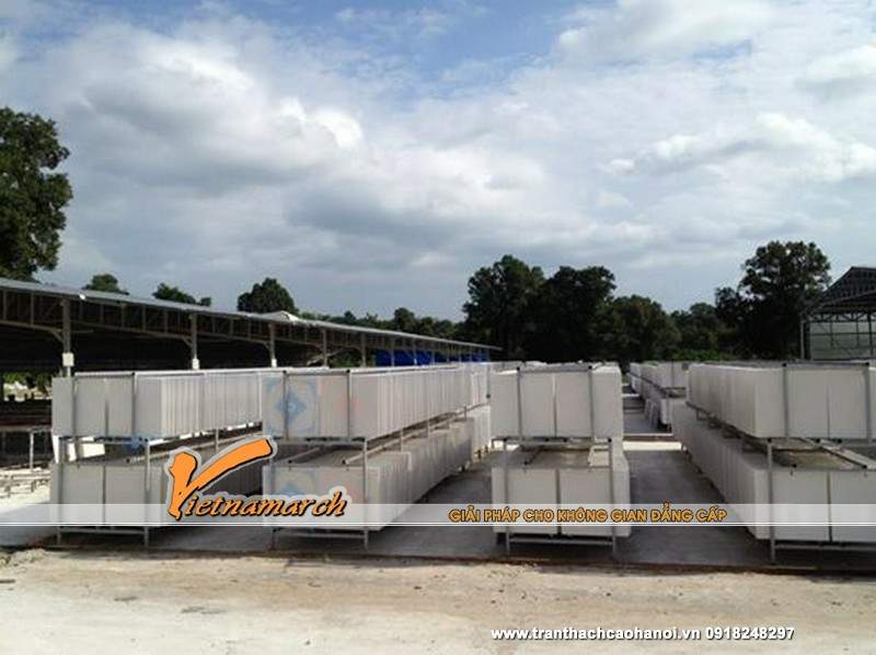 nha-may-san-xuat-thach-cao01