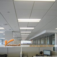 Mẫu trần thạch cao văn phòng