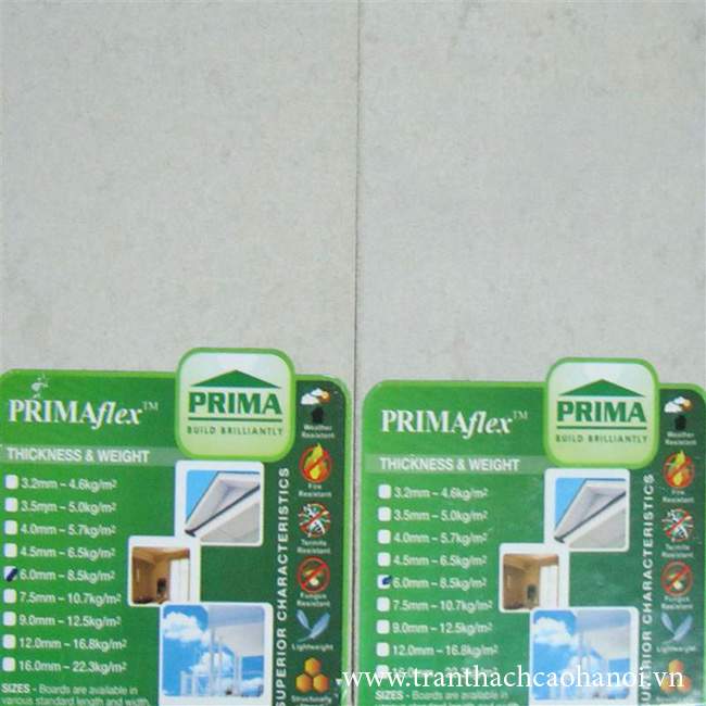 tam-prima-01