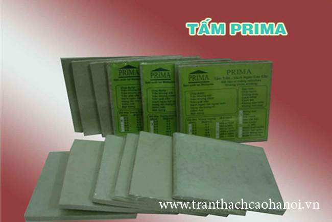 tam-prima-03