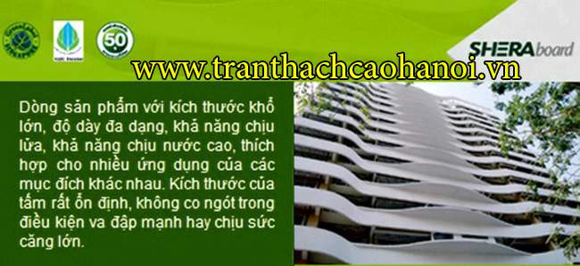 tam-tran-shera-02