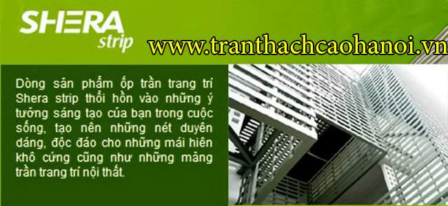 tam-tran-shera-03
