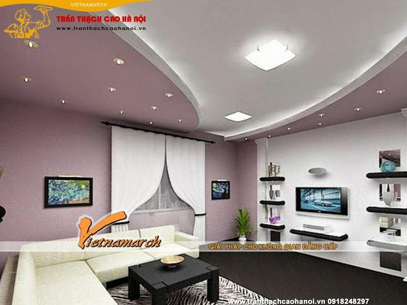 nam-2015-lam-tran-thach-cao-hop-khoa-hoc-phong-thuy-tai-ha-noi-09