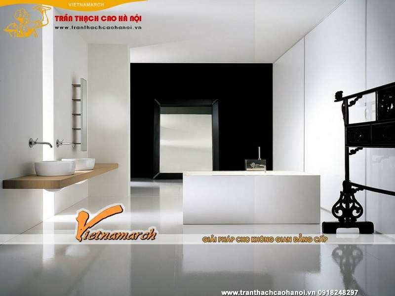 nam-2015-lam-tran-thach-cao-hop-khoa-hoc-phong-thuy-tai-ha-noi-11