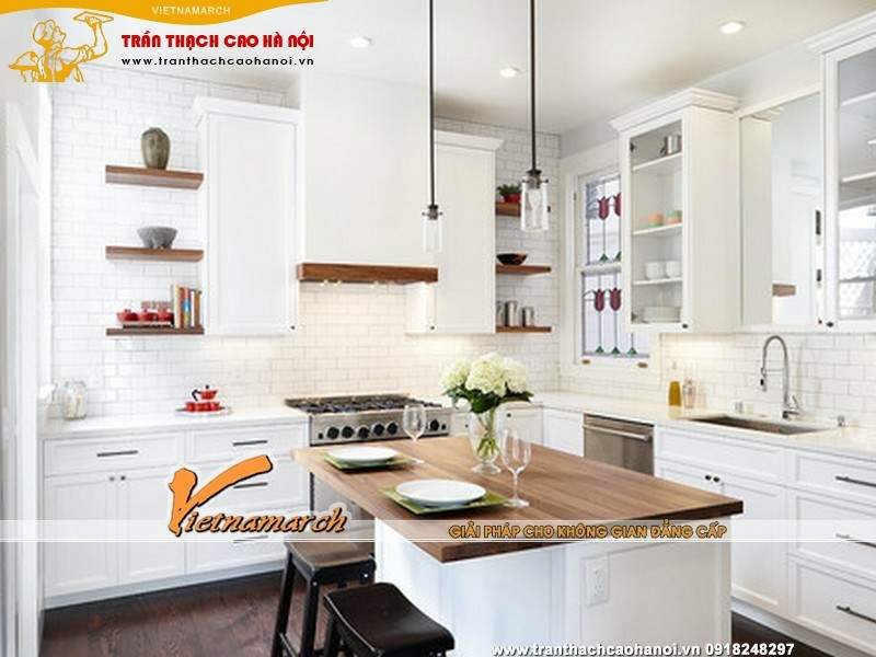 nam-2015-lam-tran-thach-cao-hop-khoa-hoc-phong-thuy-tai-ha-noi-15